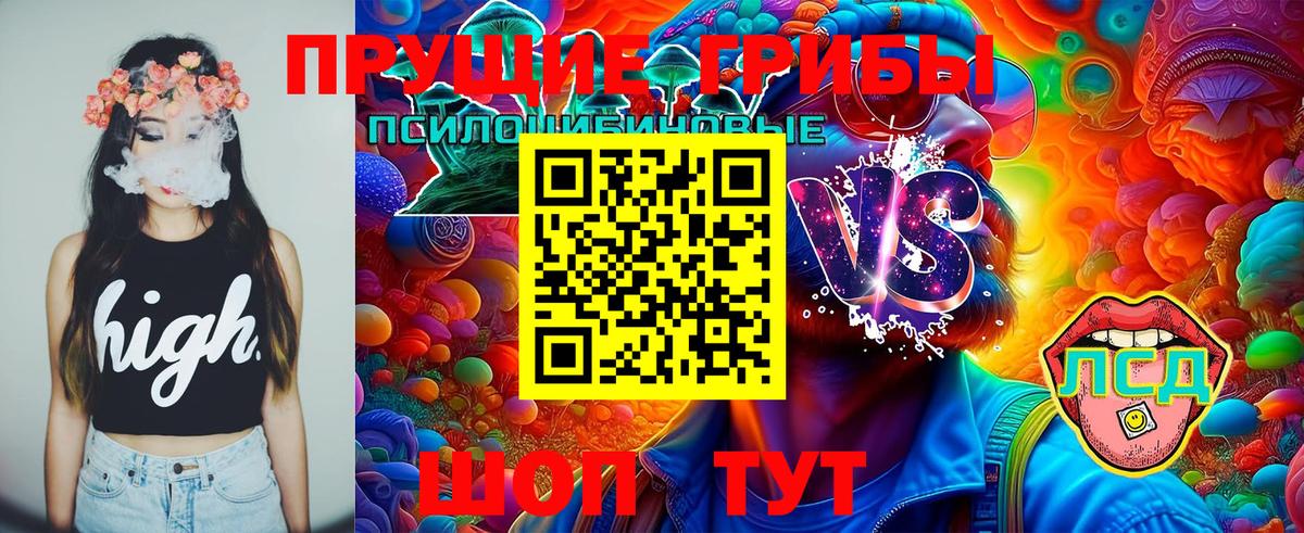 где купить наркотик  Галлюциногенные грибы Magic Shrooms  Вход с VPN  Дзержинск 