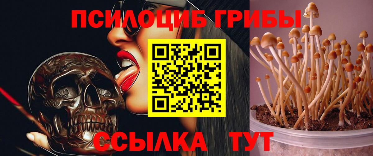 Псилоцибиновые грибы Magic Shrooms Дзержинск